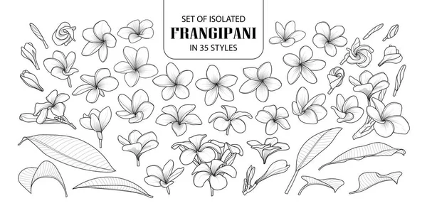 Set Frangipani Terisolasi Dalam Gaya Cute Tangan Gambar Vektor Bunga - Stok Vektor