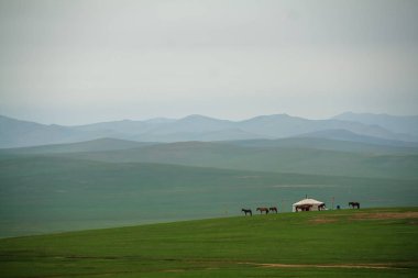   Ger'ın çadır Moğolca