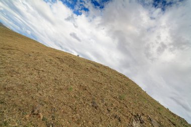 mera barışçıl bulut Moğolistan