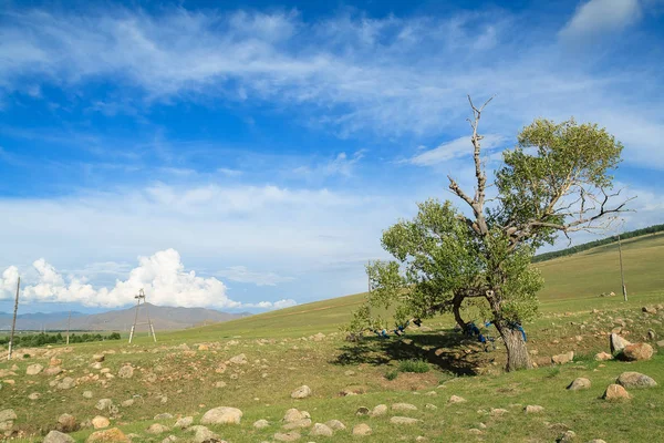 Pastos Nube Pacífica Mongolia — Foto de Stock