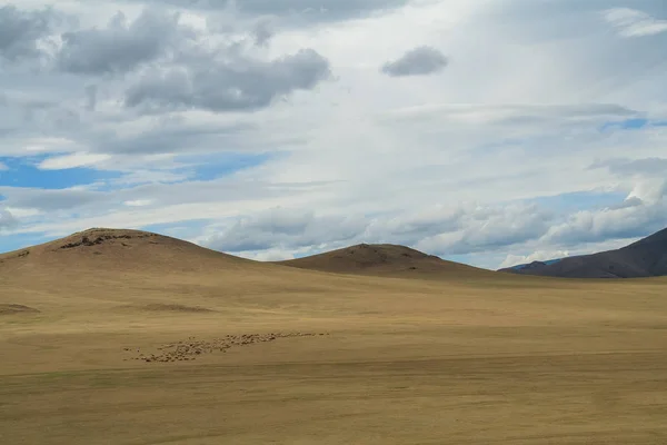 Grasland Peaceful Cloud Mongolië — Stockfoto