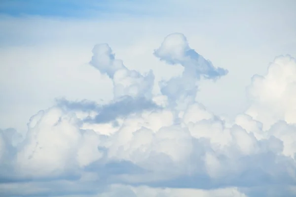 Céu Mongólia Pasto — Fotografia de Stock