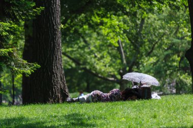 Central Park Sokak Hikayesi