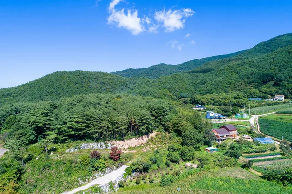 Yeongwol Vesnice Taebaek Hory — Stock fotografie