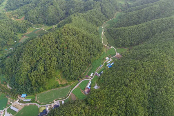 Yeongwol Village Montanhas Taebaek — Fotografia de Stock