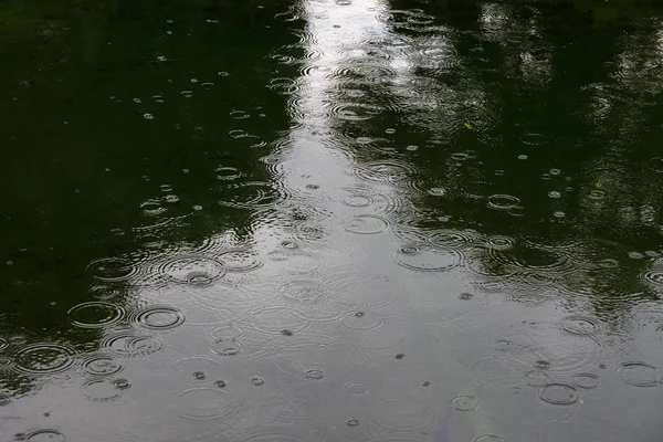 Yağmurlu bir günde keder