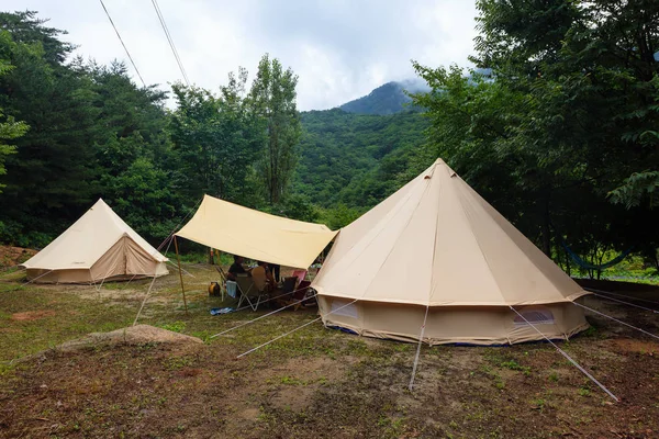 Yağmurlu gün ormanın çadırda