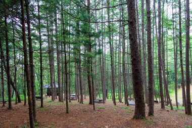 Kore'de bir dağ Hamamı