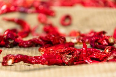 Kore baharatlı biber