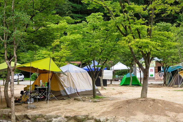 韓国キャンプ場 — ストック写真