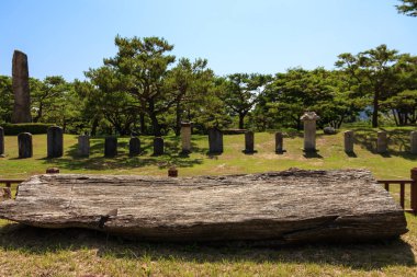 Cheongpung Kültürel Özellikler Kompleksi Dolmen