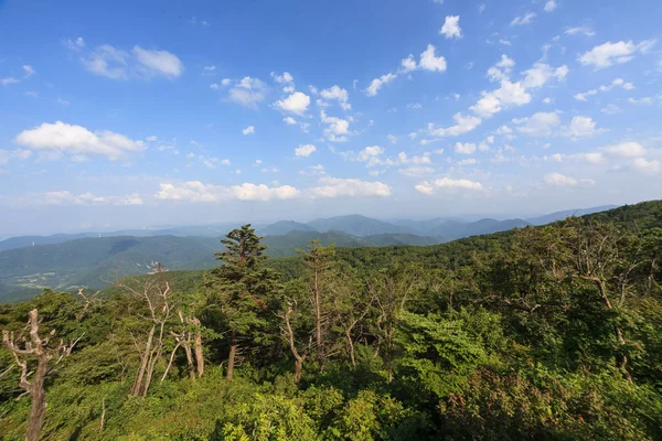 Der Sommerhimmel Von Gangwon — Stockfoto