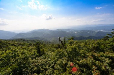 Yaz gökyüzüne Gangwon-do