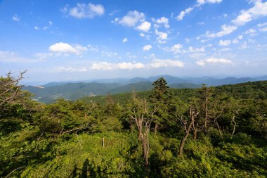 Yaz gökyüzüne Gangwon-do