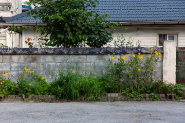 kırsal manzara keskin