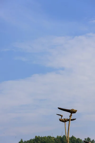 bir koruyucu Tanrı Sotdae gökyüzü