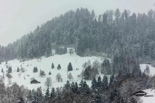 Kall Snöig Schweiz — Stockfoto