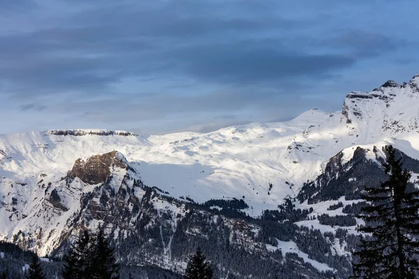 Kış Kar Jungrau Sviçre — Stok fotoğraf