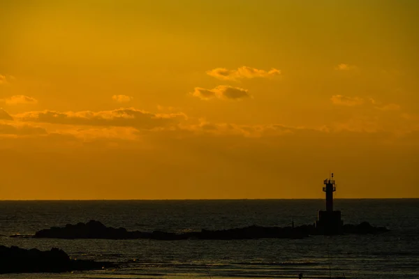 Pôr Sol Praia Flor Mar Ocidental — Fotografia de Stock