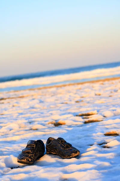 Snow Sunset Winter Sea — Stock Photo, Image