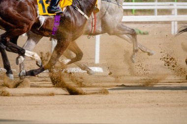 bir çalışan at ve biniciler bir yarış pisti üzerinde