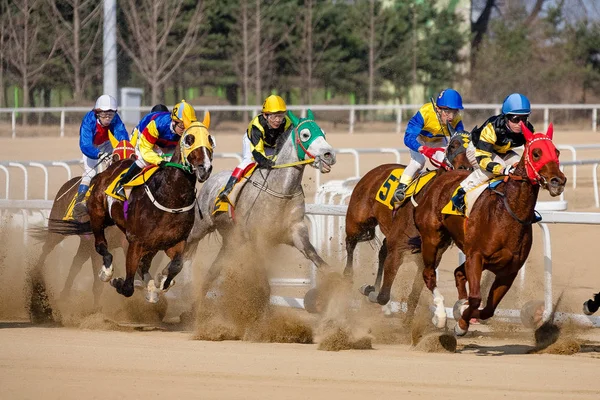 bir çalışan at ve biniciler bir yarış pisti üzerinde