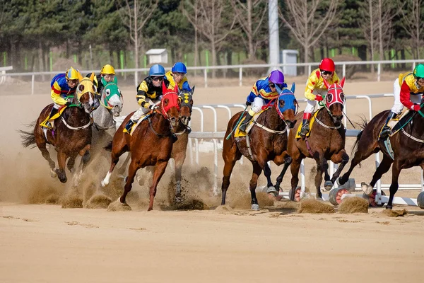 bir çalışan at ve biniciler bir yarış pisti üzerinde