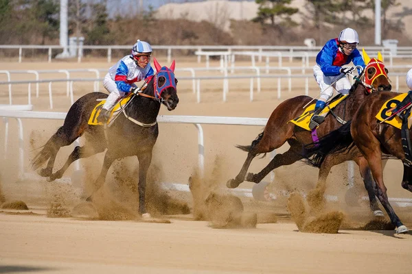 bir çalışan at ve biniciler bir yarış pisti üzerinde