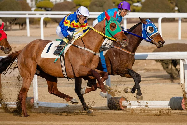 bir çalışan at ve biniciler bir yarış pisti üzerinde