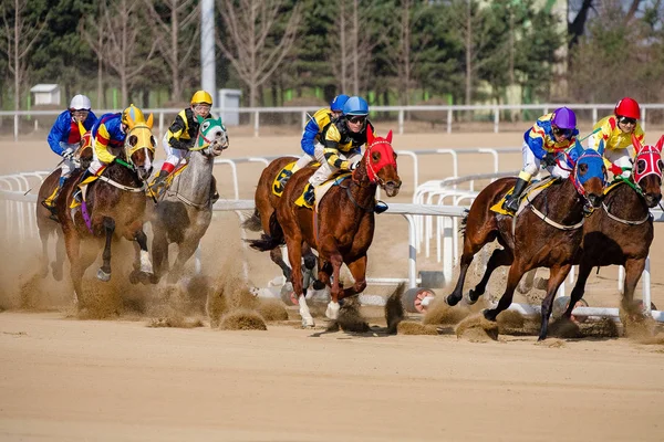 Un cheval de course et un cavalier sur un hippodrome Photo De Stock