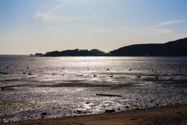 Denizler ve dalgalar halinde Batı Denizi