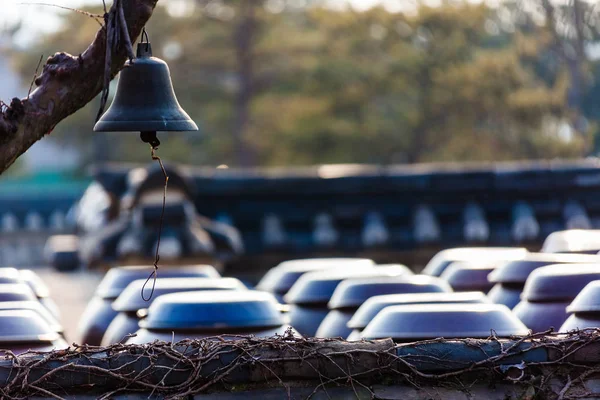 Kore bağırsak ve jangdokdae