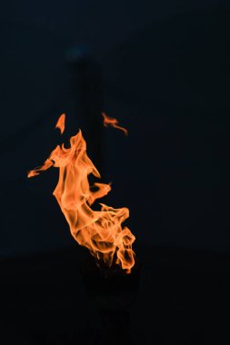 korkunç bir canlı alev