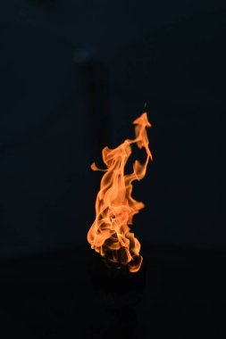 korkunç bir canlı alev