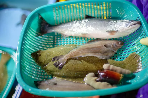 Heerlijke en verse zeevruchten rauwe vis — Stockfoto