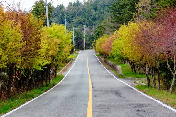中山島の木道 — ストック写真