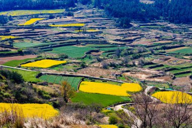 Güzel tecavüz çiçek ada