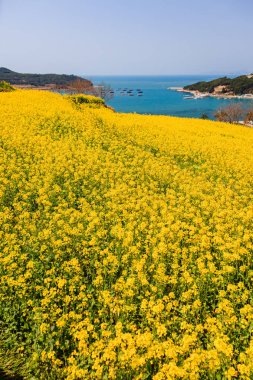 Güzel tecavüz çiçek ada