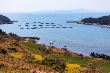 Güzel tecavüz çiçek ada