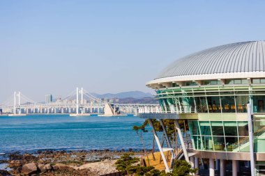 Busan Denizi ve Nurimaru