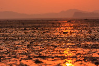 gün batımı ve Ansan'ın tandohang Limanı halkı.