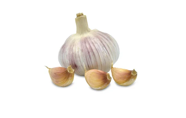 Knoblauch Isoliert Auf Weißem Hintergrund — Stockfoto