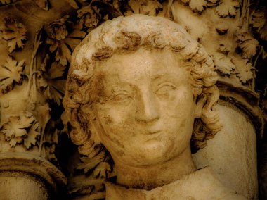 Reims Fransa'daki Notre Dame Katedrali