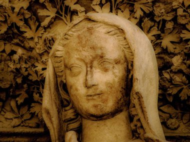 Reims Fransa'daki Notre Dame Katedrali