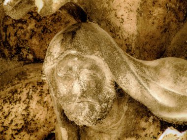 Reims Fransa'daki Notre Dame Katedrali