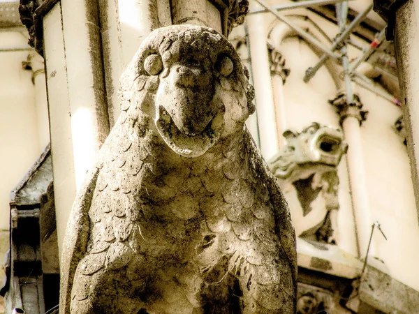 Pohled Katedrálu Notre Dame Reims Francii — Stock fotografie