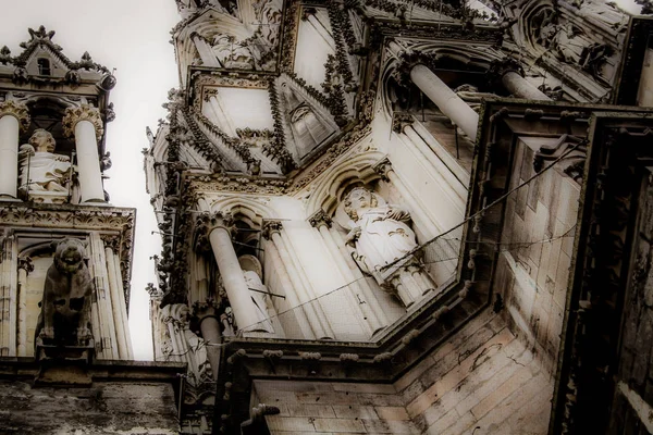 Vista Della Cattedrale Notre Dame Reims Francia — Foto Stock