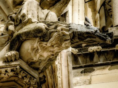 Reims Fransa'daki Notre Dame Katedrali