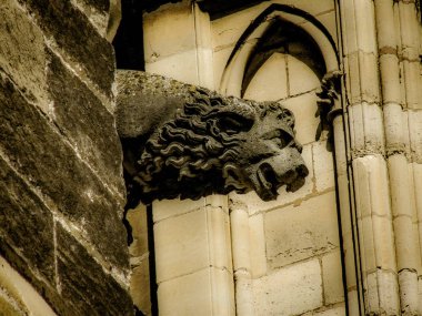 Reims Fransa'daki Notre Dame Katedrali