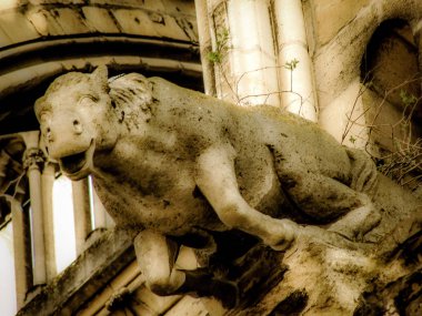 Reims Fransa'daki Notre Dame Katedrali